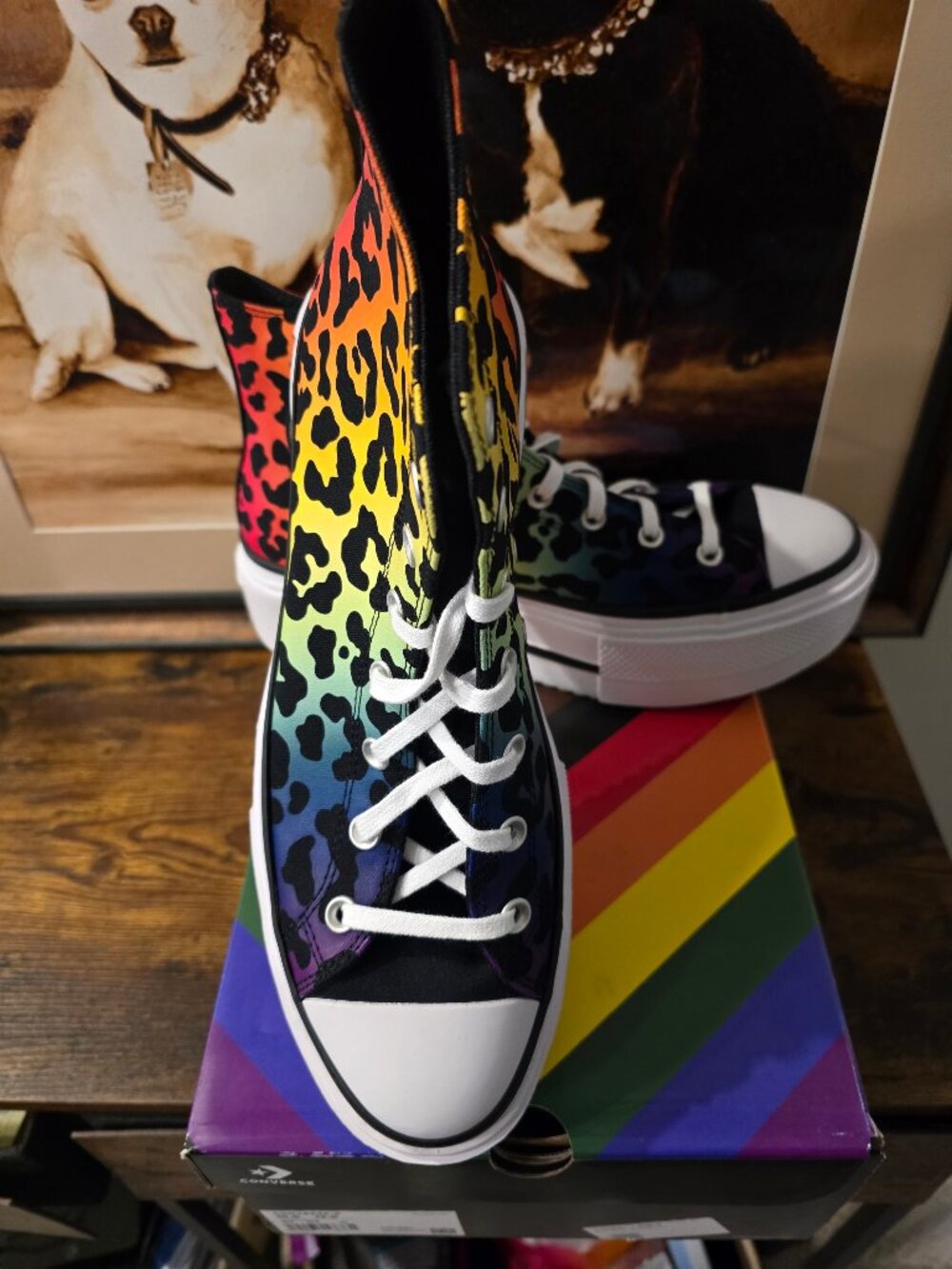 Converse Chuck Taylor All Star Platform Pride Men's Sz 10 Shoes Leopard A15782C